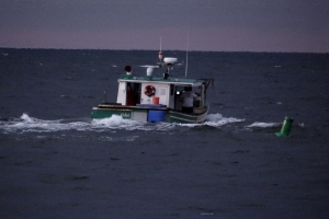 Cape Cod Fishing