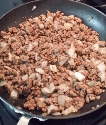 Burger and Onion Burger and Onion