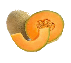 Cantaloupe